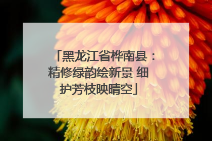 黑龙江省桦南县：精修绿韵绘新景 细护芳枝映晴空