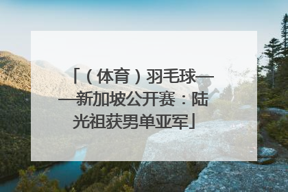（体育）羽毛球——新加坡公开赛：陆光祖获男单亚军