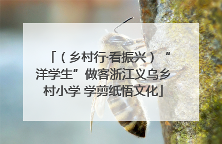 （乡村行·看振兴）“洋学生”做客浙江义乌乡村小学 学剪纸悟文化