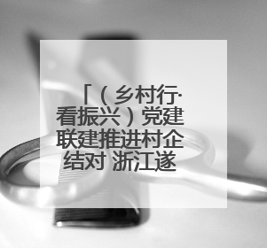 （乡村行·看振兴）党建联建推进村企结对 浙江遂昌实现乡村振兴“加速度”