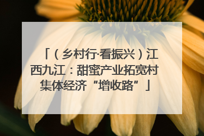 （乡村行·看振兴）江西九江：甜蜜产业拓宽村集体经济“增收路”