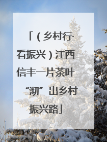 （乡村行·看振兴）江西信丰一片茶叶“沏”出乡村振兴路