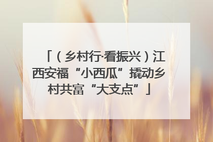 （乡村行·看振兴）江西安福“小西瓜”撬动乡村共富“大支点”