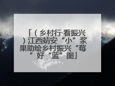 （乡村行·看振兴）江西靖安“小”浆果助绘乡村振兴“莓”好“蓝”图
