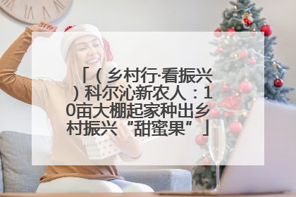 （乡村行·看振兴）科尔沁新农人：10亩大棚起家种出乡村振兴“甜蜜果”