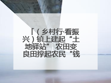 （乡村行·看振兴）镇上建起“土地驿站” 农田变良田撑起农民“钱袋子”