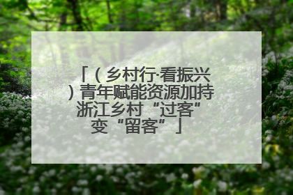 （乡村行·看振兴）青年赋能资源加持 浙江乡村“过客”变“留客”
