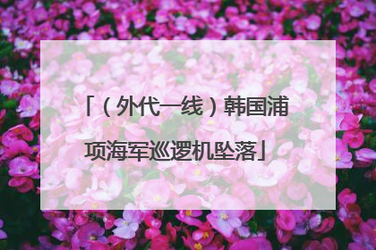 （外代一线）韩国浦项海军巡逻机坠落
