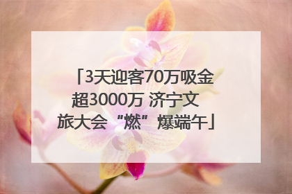 3天迎客70万吸金超3000万 济宁文旅大会“燃”爆端午
