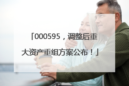 000595，调整后重大资产重组方案公布！