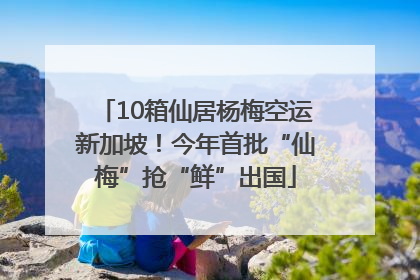 10箱仙居杨梅空运新加坡！今年首批“仙梅”抢“鲜”出国