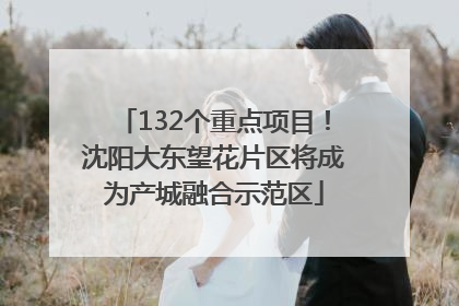 132个重点项目！沈阳大东望花片区将成为产城融合示范区