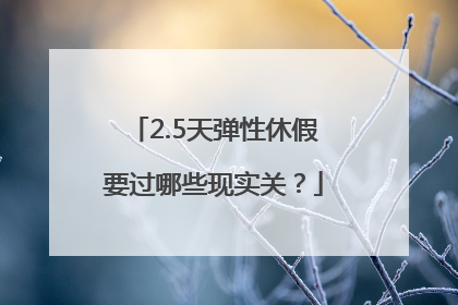 2.5天弹性休假要过哪些现实关？
