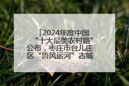 2024年度中国“十大最美农村路”公布，枣庄市台儿庄区“鲁风运河”古城文化廊道上榜！