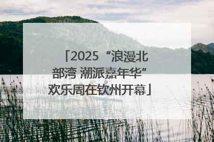 2025“浪漫北部湾 潮派嘉年华”欢乐周在钦州开幕