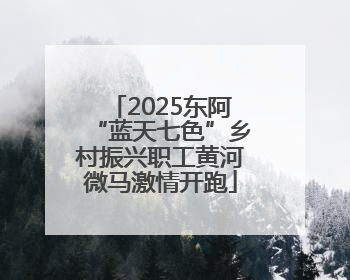 2025东阿“蓝天七色”乡村振兴职工黄河微马激情开跑