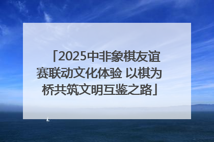 2025中非象棋友谊赛联动文化体验 以棋为桥共筑文明互鉴之路