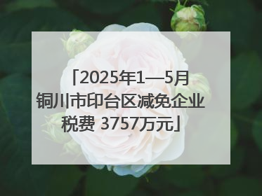 2025年1—5月铜川市印台区减免企业税费 3757万元