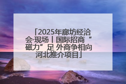 2025年廊坊经洽会·现场丨国际招商“磁力”足 外商争相向河北推介项目