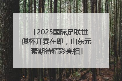 2025国际足联世俱杯开赛在即，山东元素期待精彩亮相