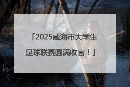 2025威海市大学生足球联赛圆满收官！