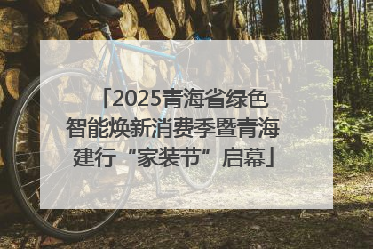 2025青海省绿色智能焕新消费季暨青海建行“家装节”启幕