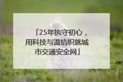 25年执守初心，用科技与温情织就城市交通安全网
