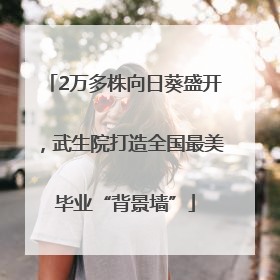 2万多株向日葵盛开，武生院打造全国最美毕业“背景墙”