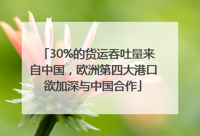 30%的货运吞吐量来自中国，欧洲第四大港口欲加深与中国合作