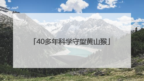 40多年科学守望黄山猴