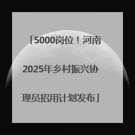 5000岗位！河南2025年乡村振兴协理员招用计划发布