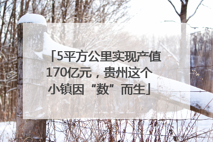 5平方公里实现产值170亿元，贵州这个小镇因“数”而生