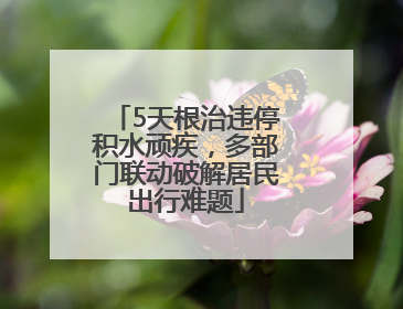 5天根治违停积水顽疾，多部门联动破解居民出行难题