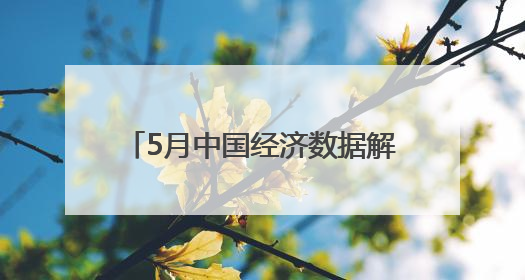 5月中国经济数据解读①丨政策“组合拳”精准激活经济动能