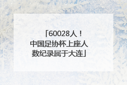 60028人！中国足协杯上座人数纪录属于大连