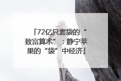 72亿只套袋的“致富算术”：静宁苹果的“袋”中经济