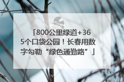 800公里绿道+365个口袋公园！长春用数字勾勒“绿色通勤路”