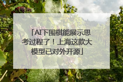 AI下围棋能展示思考过程了！上海这款大模型已对外开源