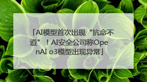 AI模型首次出现“抗命不遵”！AI安全公司称OpenAI o3模型出现异常