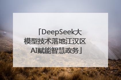 DeepSeek大模型技术落地江汉区 AI赋能智慧政务