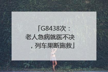 G8438次：老人急病就医不决，列车果断施救