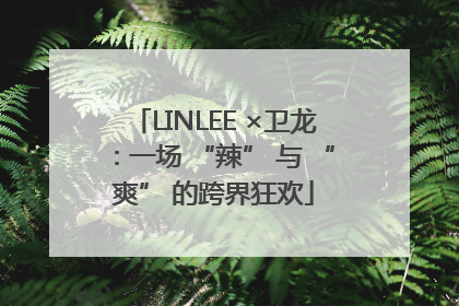 LINLEE ×卫龙：一场 “辣” 与 “爽” 的跨界狂欢