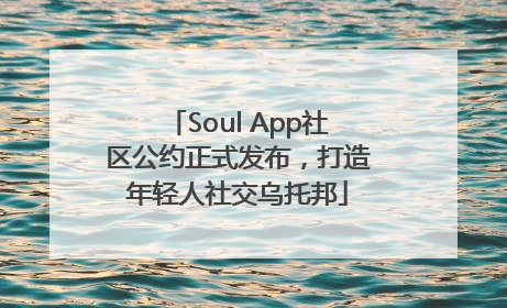 Soul App社区公约正式发布，打造年轻人社交乌托邦