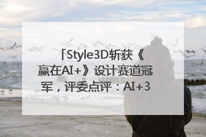 Style3D斩获《赢在AI+》设计赛道冠军，评委点评：AI+3D技术世界第一