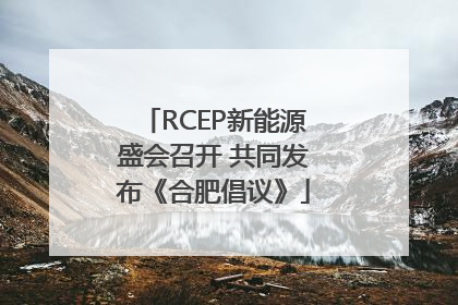 RCEP新能源盛会召开 共同发布《合肥倡议》